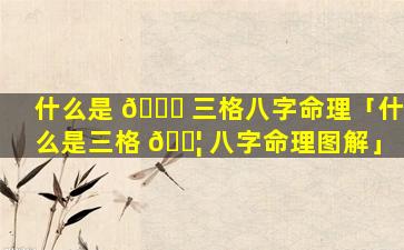 什么是 🍁 三格八字命理「什么是三格 🐦 八字命理图解」